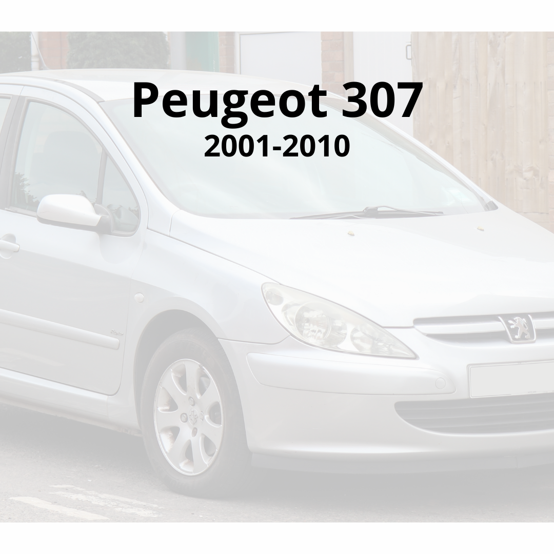 Pantalla Android Peugeot 307